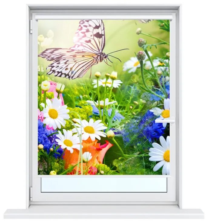 Gario Roleta s potlačou Motýle a kvety v krásnej záhrade Veľkosť: 80 x 150 cm