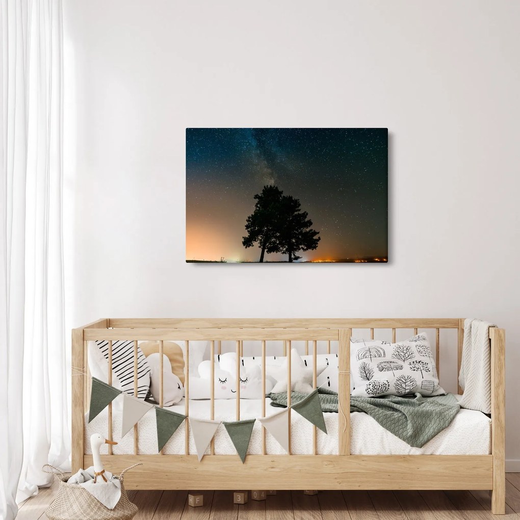 Obraz nočnej oblohy so stromami (90x60 cm)