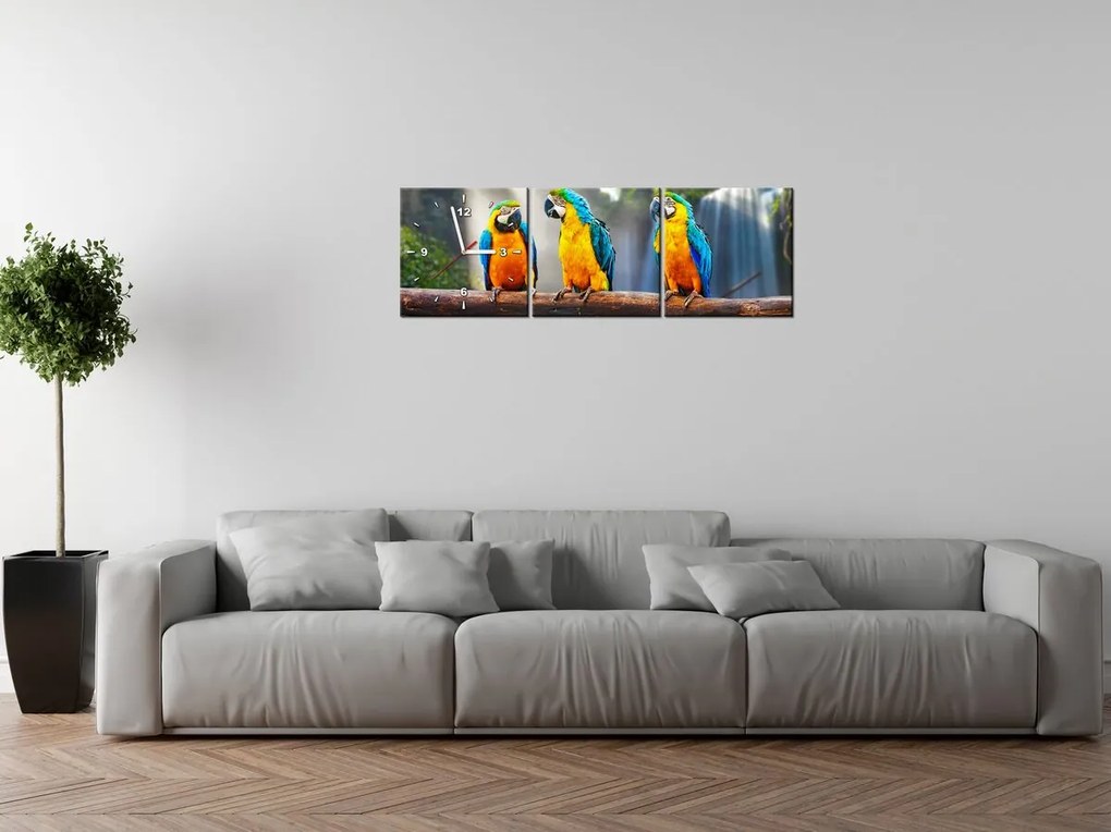 Gario Obraz s hodinami Farebné papagáje - 3 dielny Rozmery: 90 x 70 cm