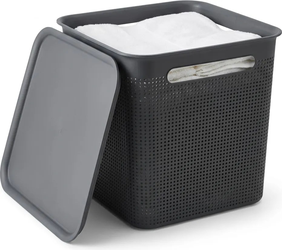 Rotho Úložný box s víkem a s madly BRISEN 18l, 29x29x29cm, černý