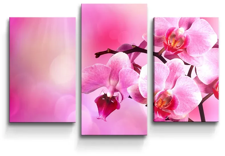 Sablio Obraz - 3-dílný Květy Orchidey - 75x50 cm