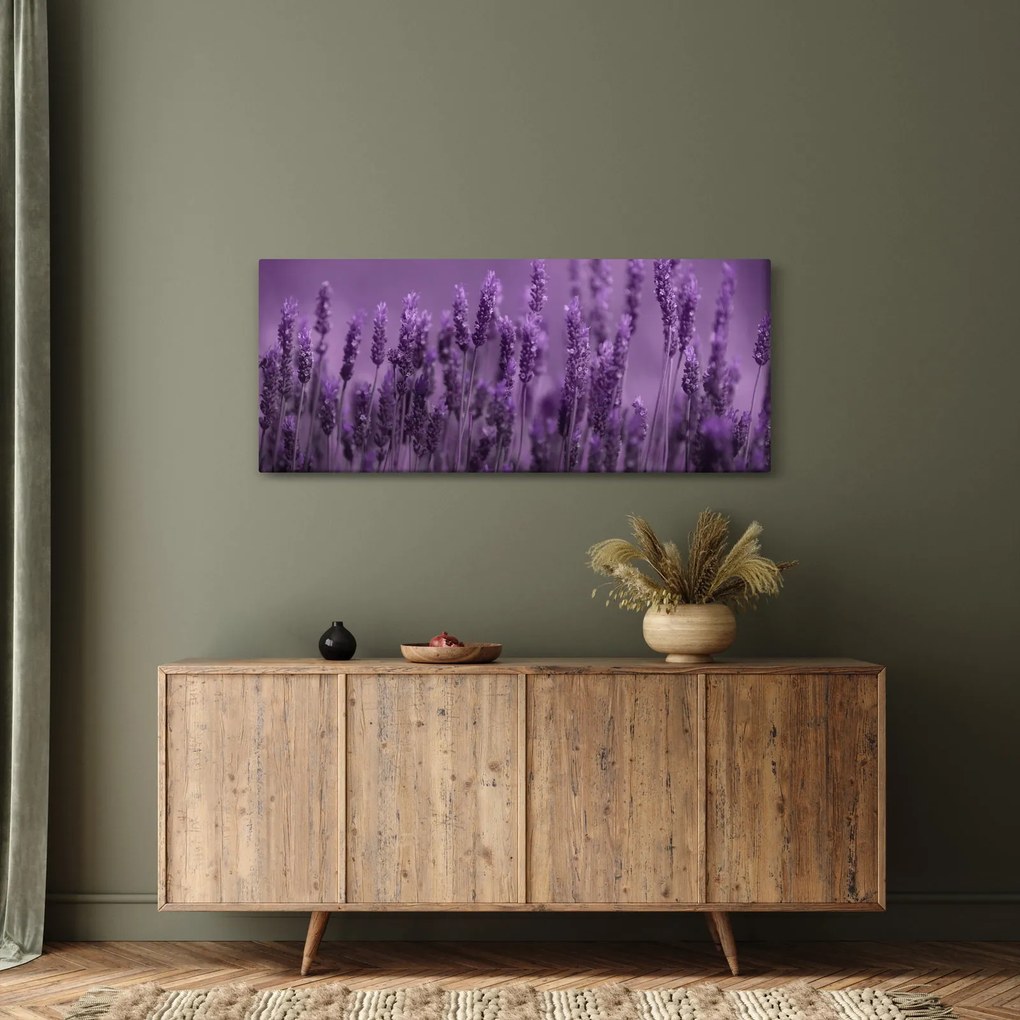 Obraz - Levanduľa (120x50 cm)