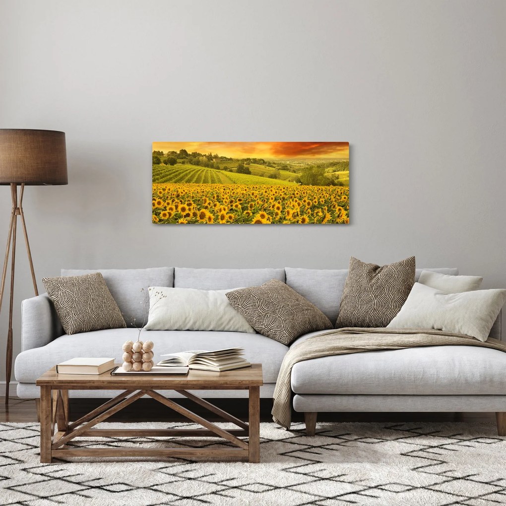 Obraz - Slnečnicové pole (120x50 cm)
