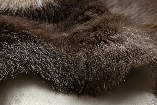 Koberec RENIFER POK009 hnedý / sivý