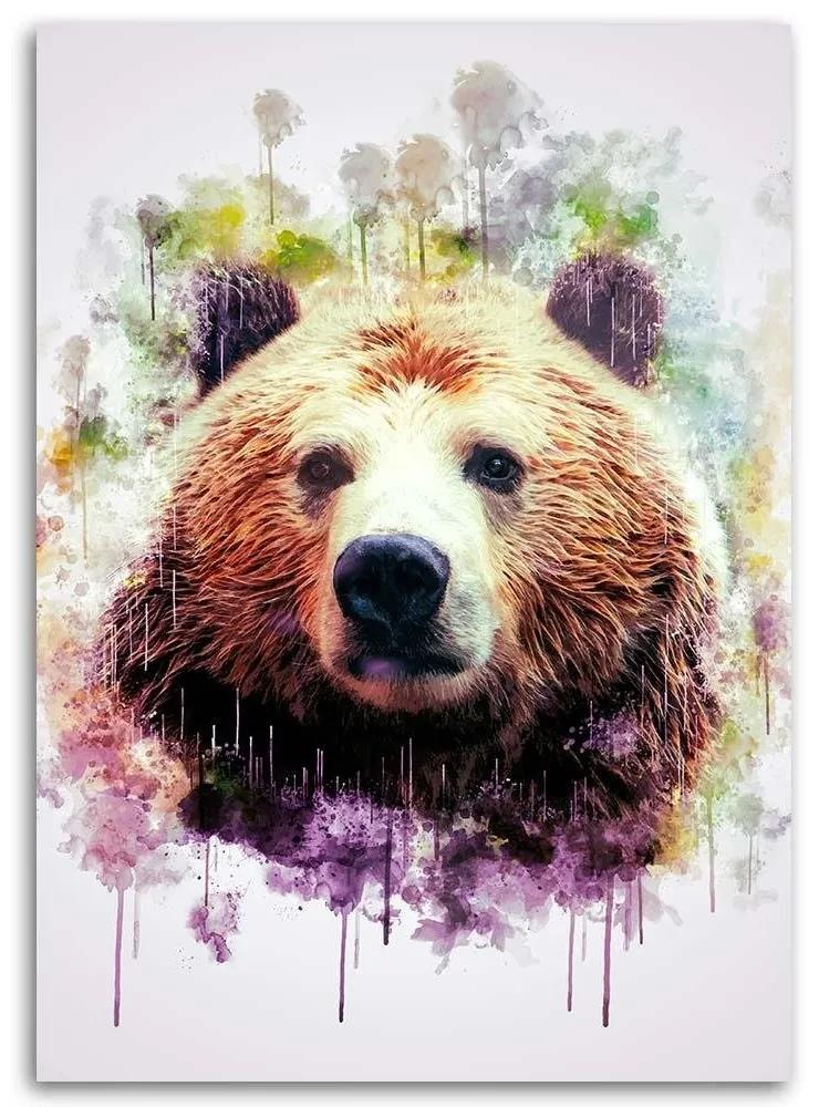 Gario Obraz na plátne Farebná hlava medveďa - Cornel Vlad Rozmery: 40 x 60 cm