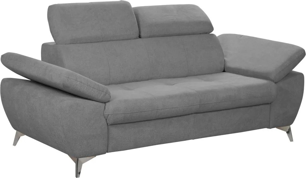 Dvojsedák Gisele, stredne šedá