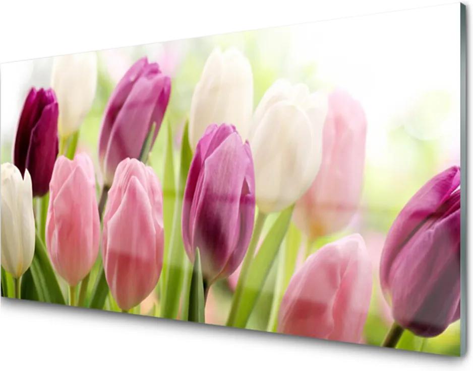 Sklenený obklad Do kuchyne Tulipány Kvety Príroda Lúka