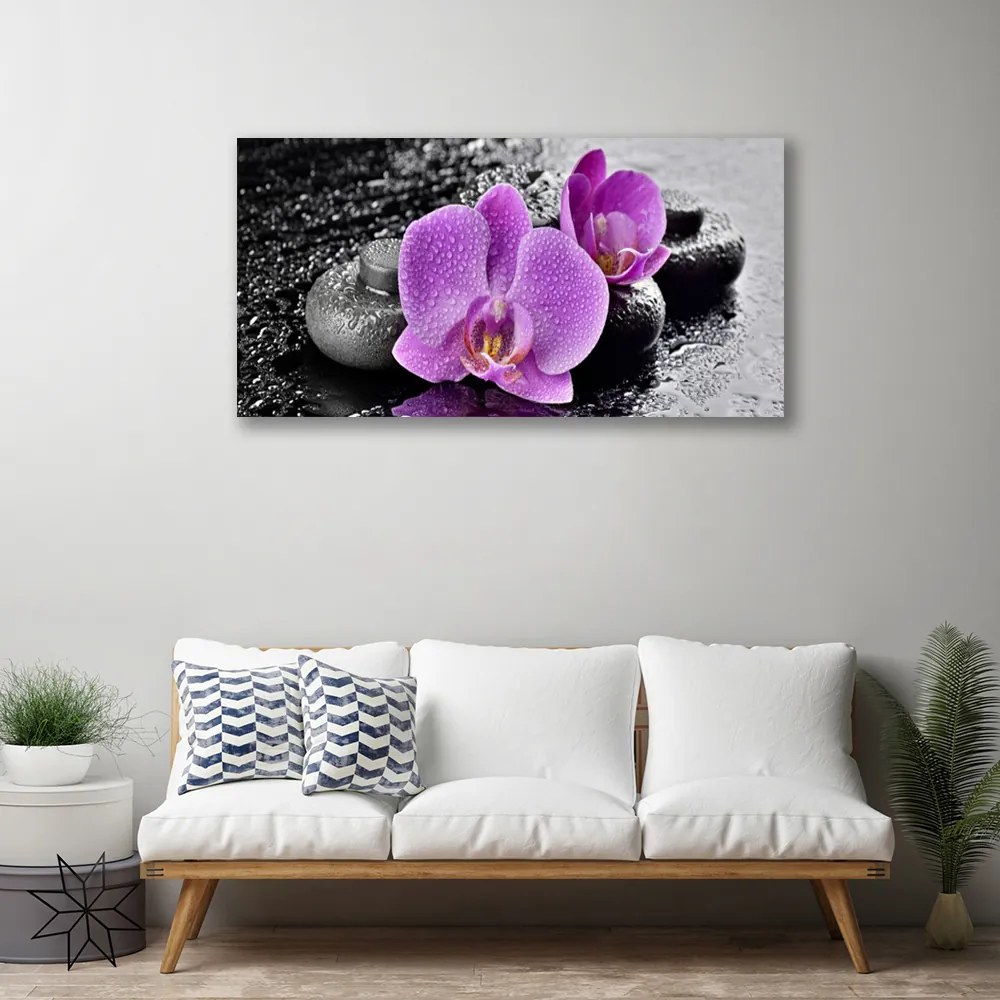 Obraz Canvas Orchidea kvety kamene zen 100x50 cm