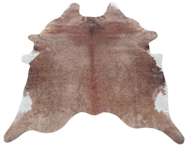 Ayyildiz Kusový koberec ETOSHA 4112, Hnedá Rozmer koberca: 100 x 135 cm