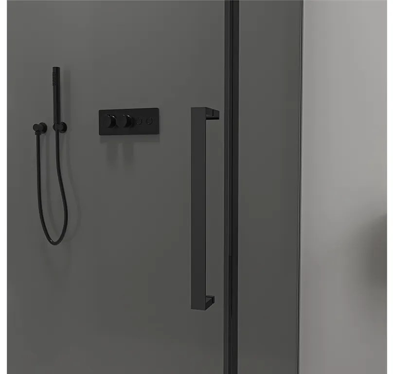 CERANO - Sprchové posuvné dvere Lantono L/P - 8 mm - čierna matná, grafitové sklo - 160x195 cm, CER-CER-8050BD7241