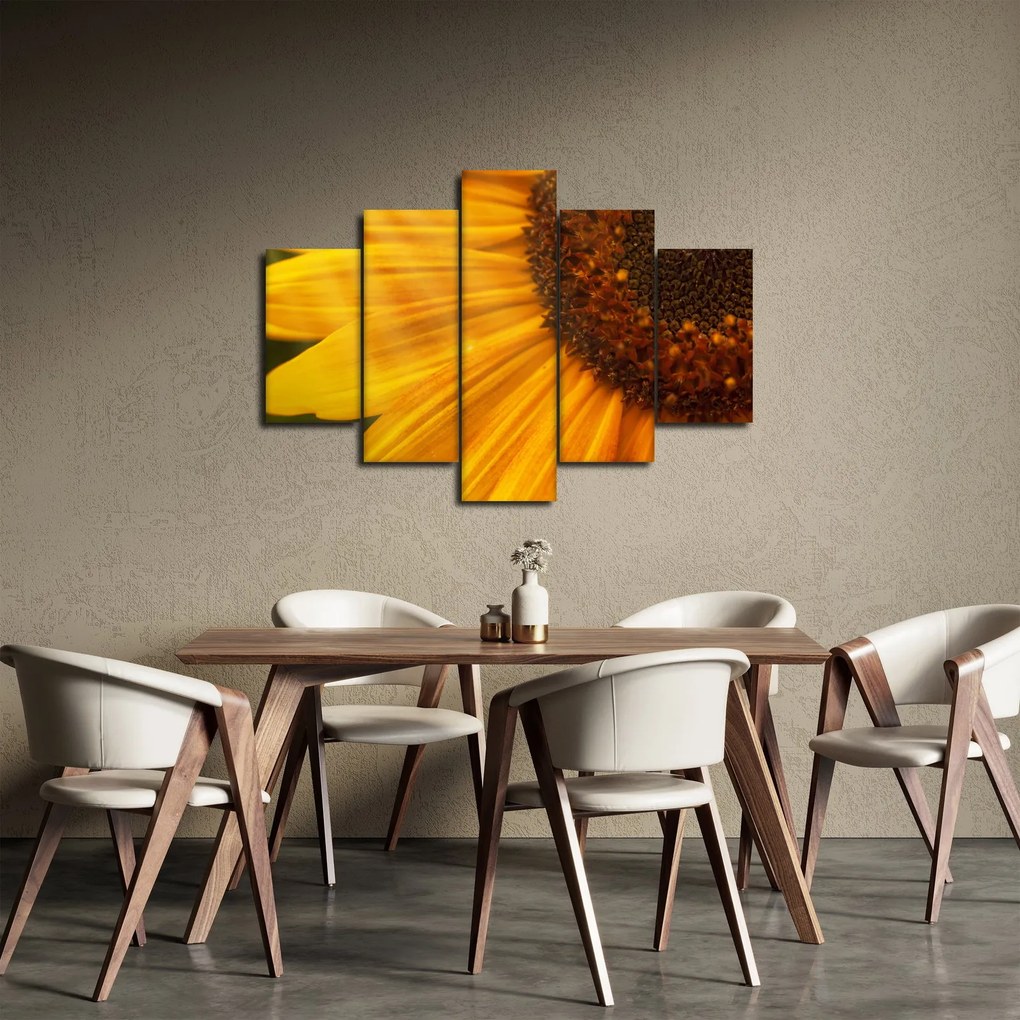 Obraz - Slnečnica (150x105 cm)