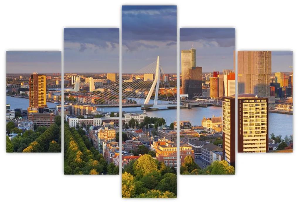 Obraz - Panorama Rotterdamu, Holandsko (150x105 cm)
