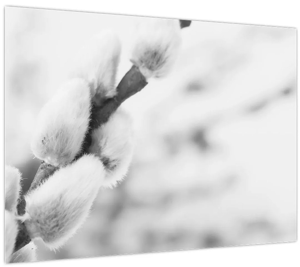 Obraz - Začiatok jari (70x50 cm)