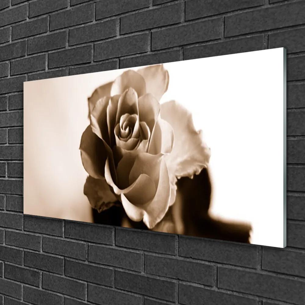 Obraz na skle Ruže kvet 120x60 cm