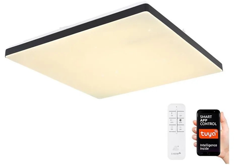 Globo 48025BSH - LED Stmievateľné stropné svietidlo LED/24W/230V Wi-Fi Tuya + DO