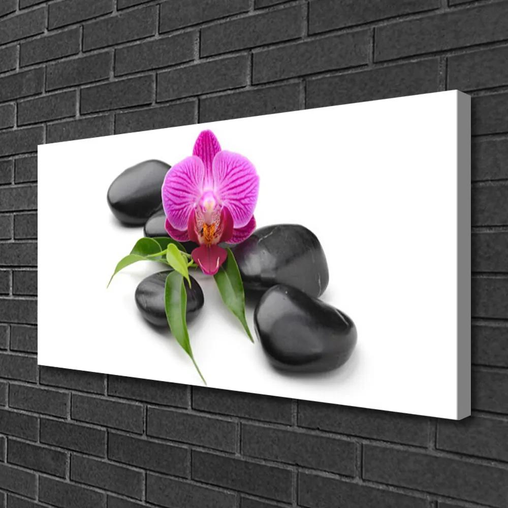 Obraz na plátne Kvet kamene umenie 125x50 cm