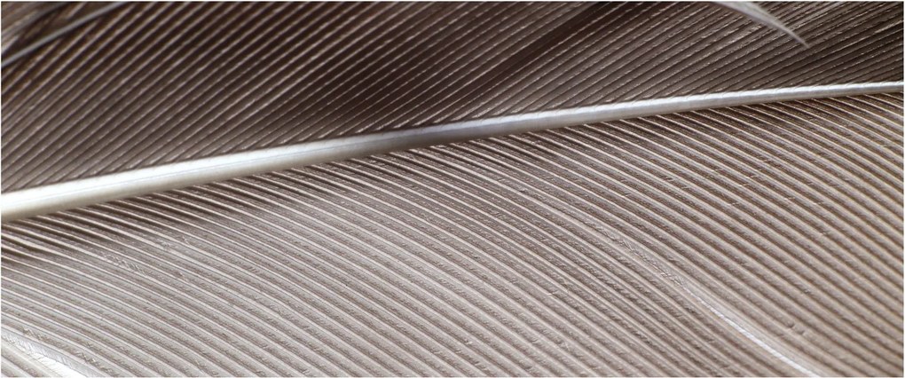 Abstraktný obraz vlákien (120x50 cm)