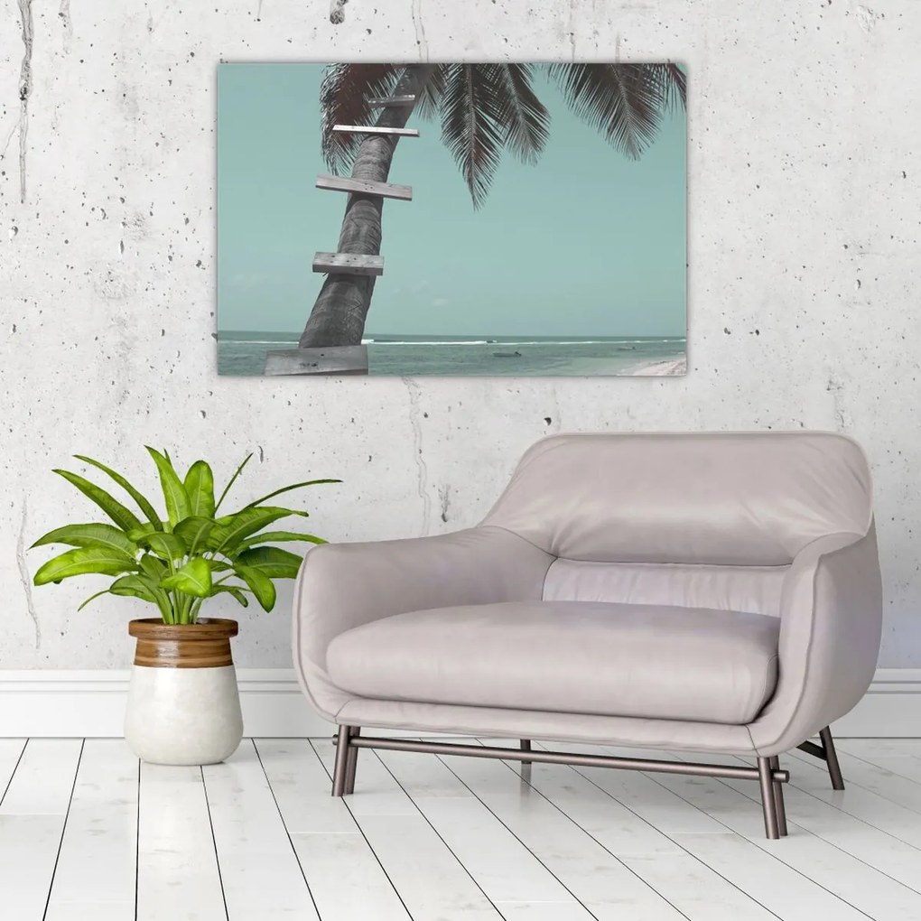 Obraz - Palma v Karibiku (90x60 cm)