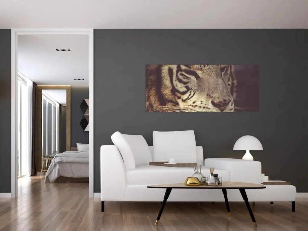 Obraz tigra (120x50 cm)