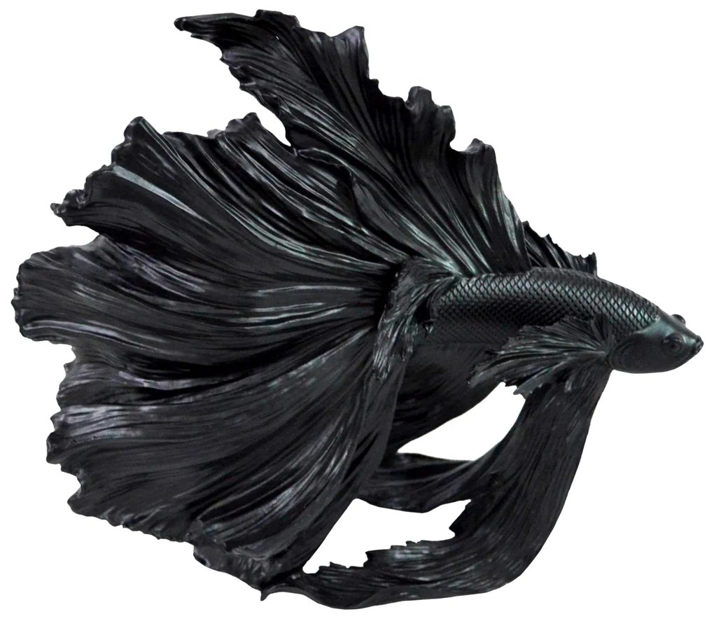 Ozdobná rybka Crowntail 35cm čierna