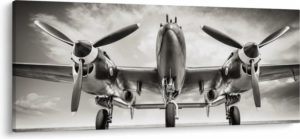 Obraz - Warbird (120x50 cm)