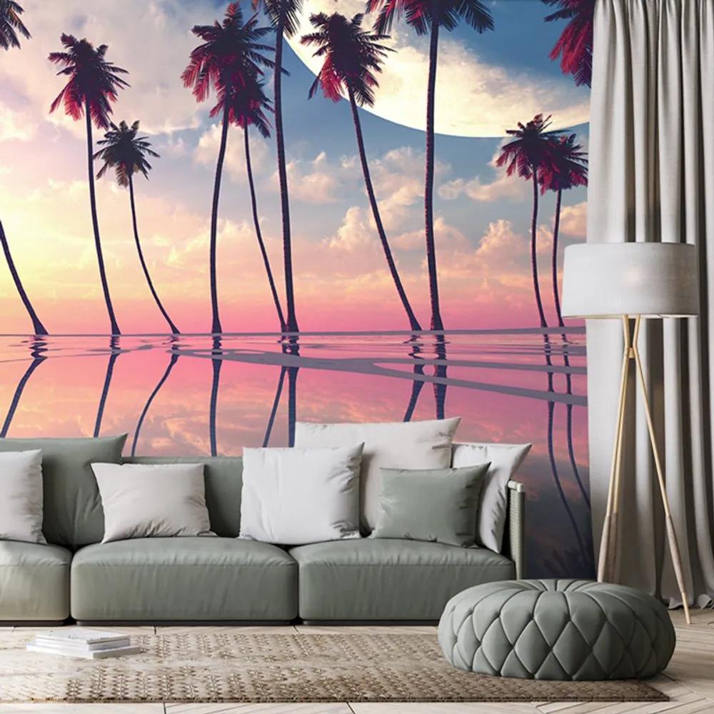 Tapeta exotické palmy pri zapadajúcom slnku