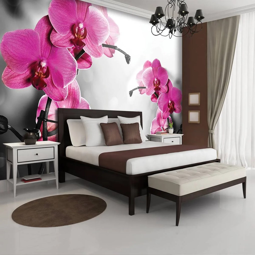 Fototapeta - Orchidey (152,5x104 cm)
