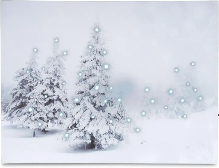 Nástenná maľba Zimný les - 40 LED,  30 x 40 cm