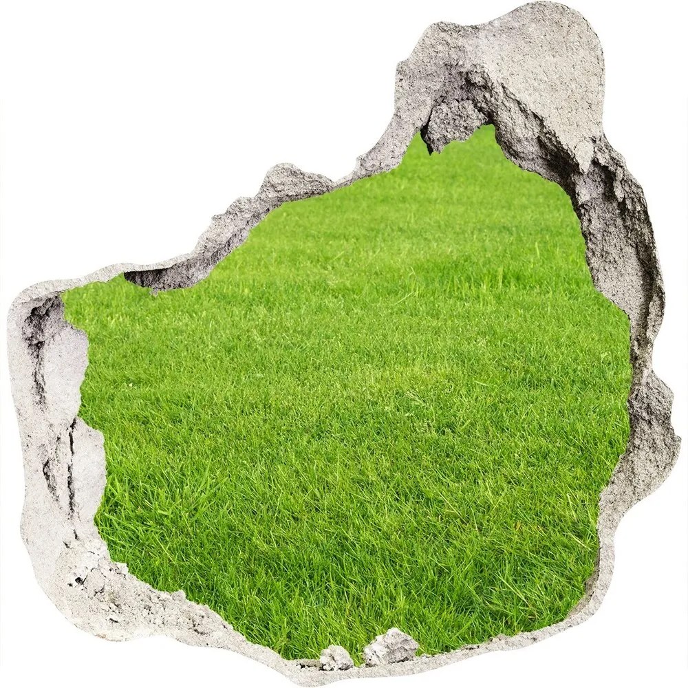 Díra 3D ve zdi nálepka Zelená tráva WallHole-75x75-piask-141153462