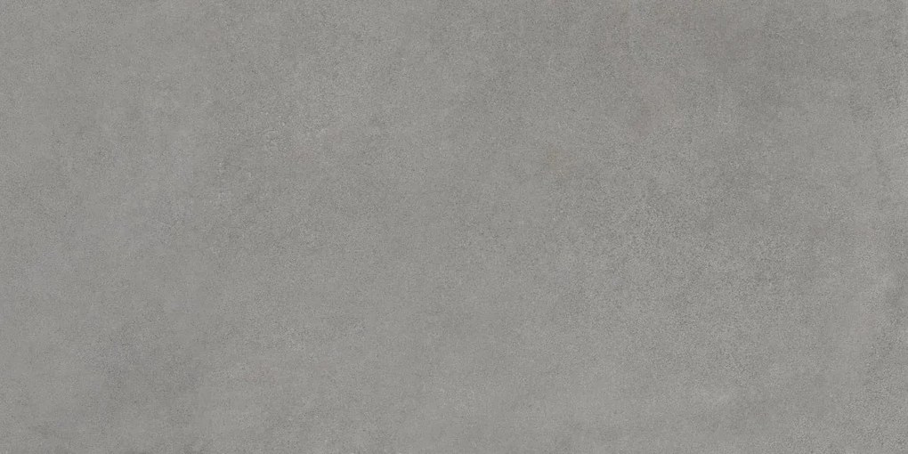 Dlažba Rawtech Silver 60x120