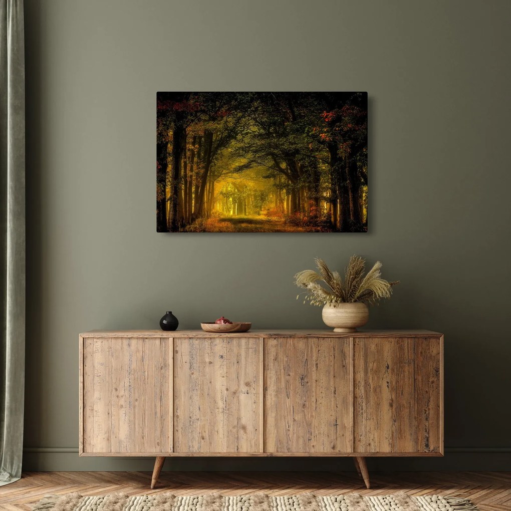 Obraz lesu (90x60 cm)