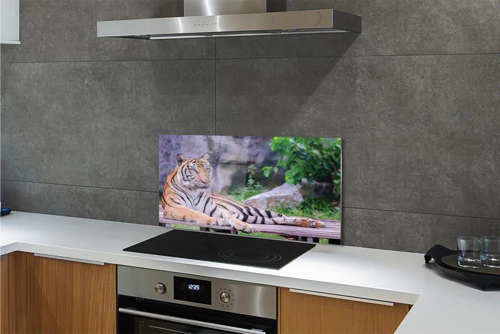Nástenný panel  Tiger v zoo 120x60 cm