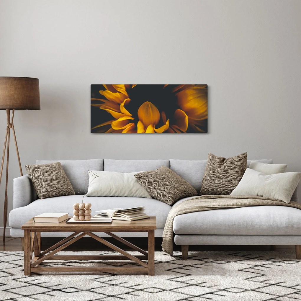 Obraz - Slnečnica v čiernom pozadí (120x50 cm)