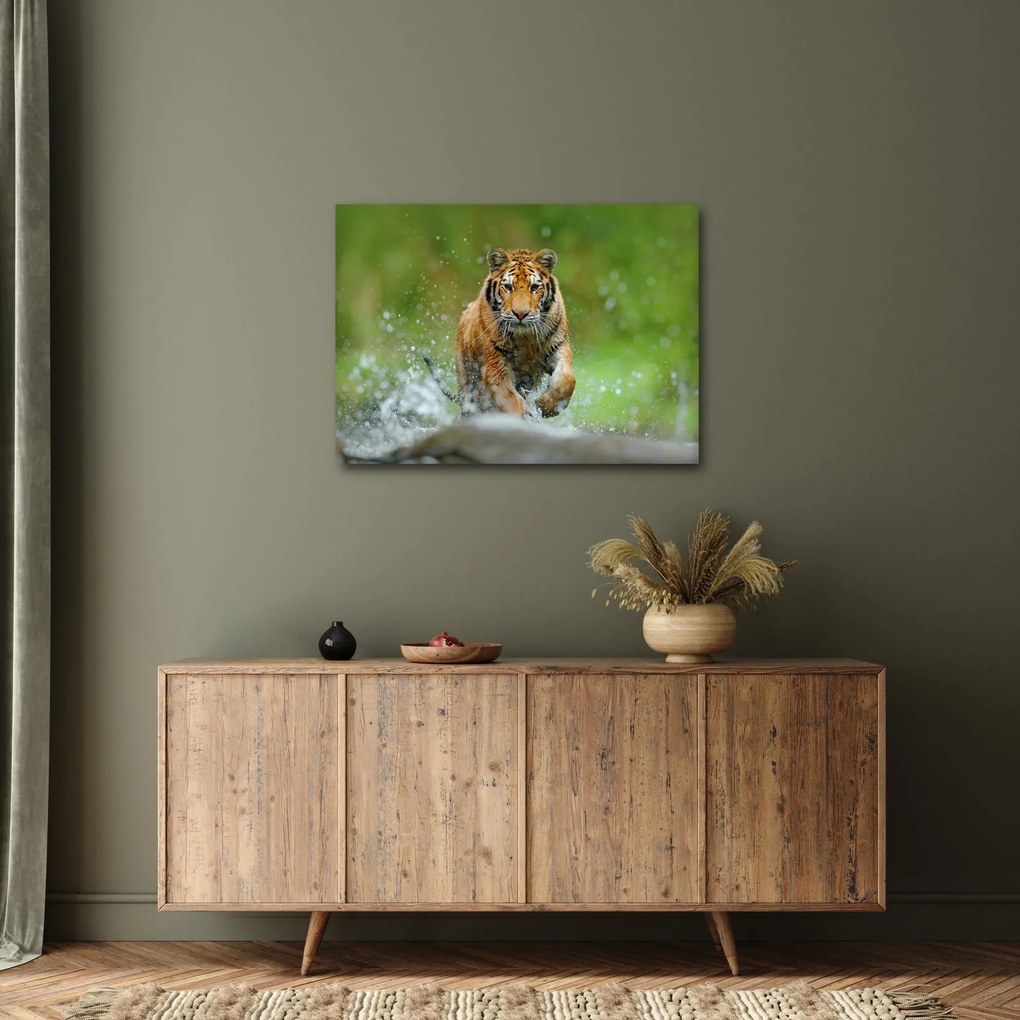 Obraz - Bežiaci tiger (70x50 cm)