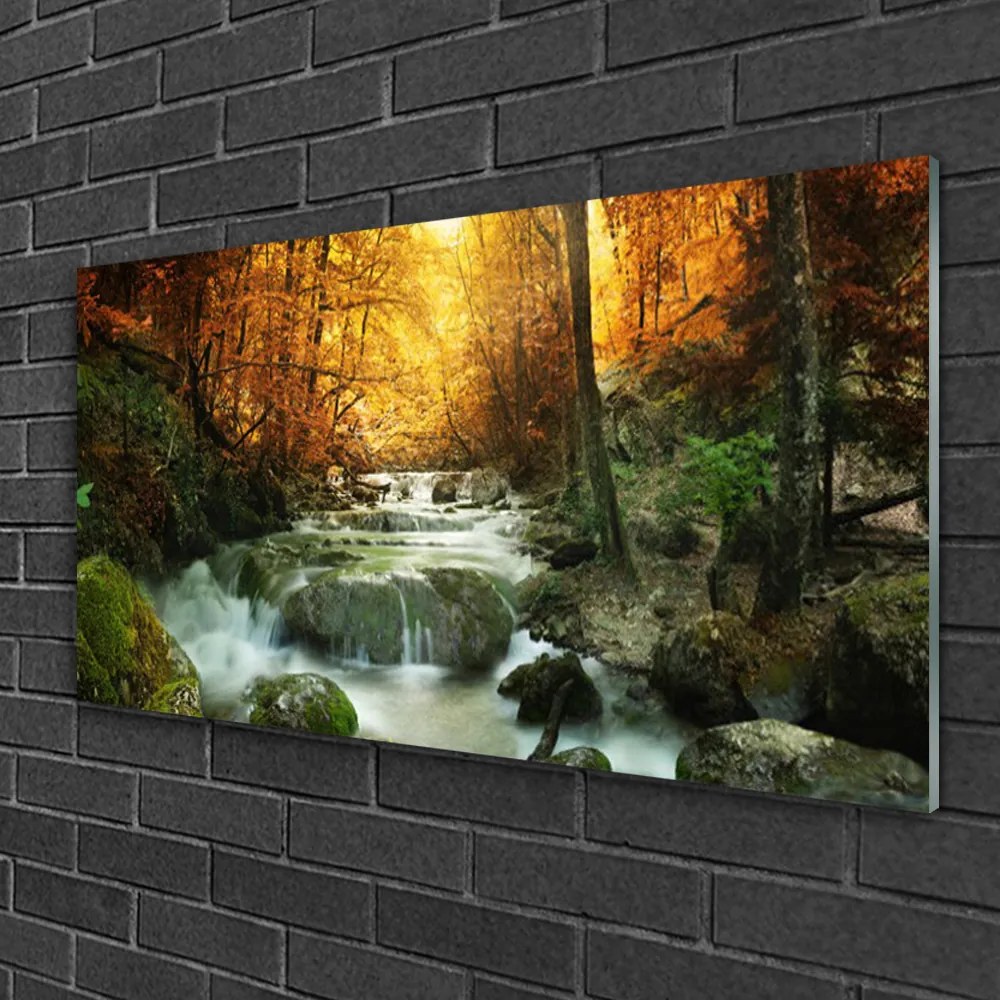 Skleneny obraz Vodopád príroda les jeseň 100x50 cm