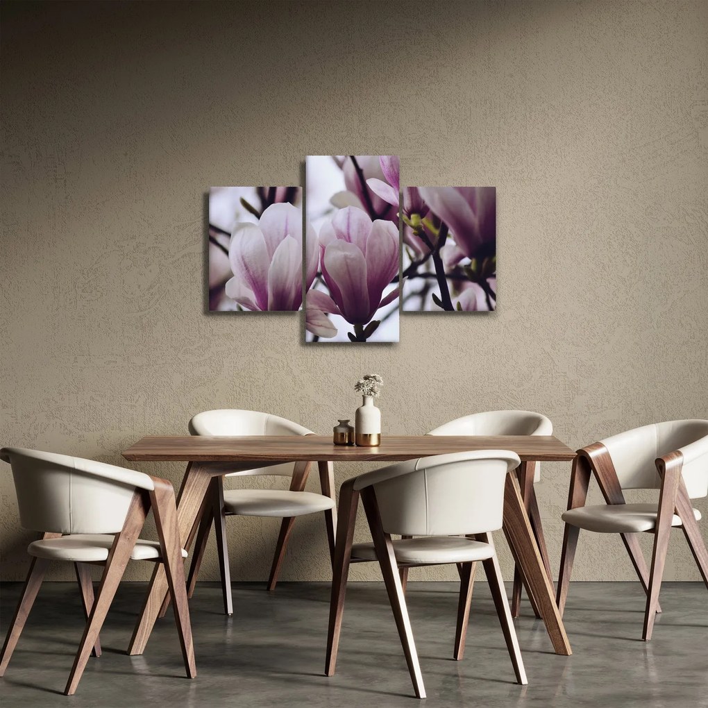 Obraz - Magnolie (90x60 cm)