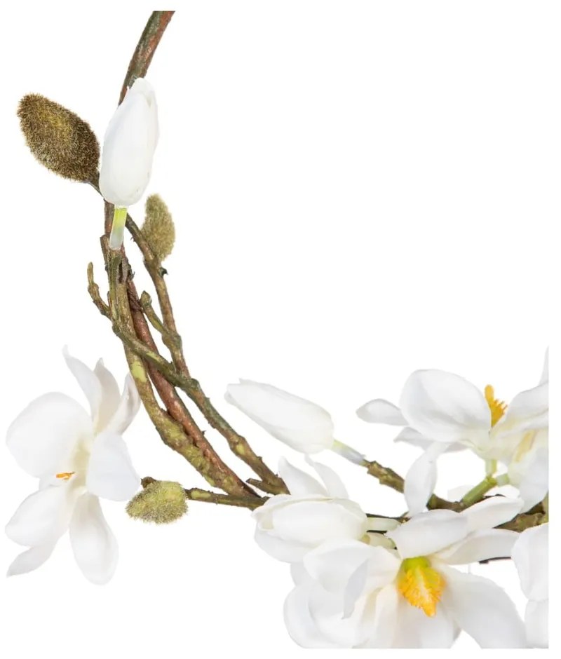 Veniec Magnolia – Ixia