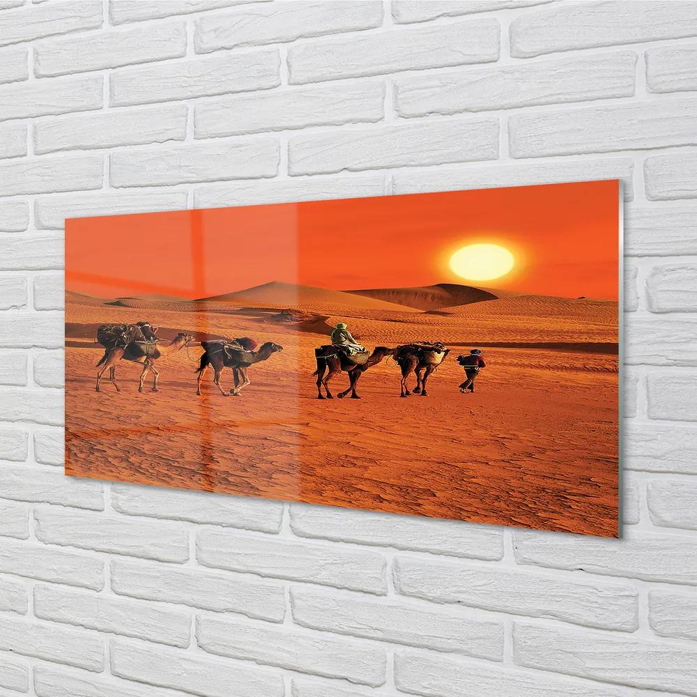 Obraz plexi Ťavy ľudí púštne slnko neba 125x50 cm