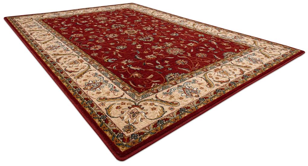 Vlnený koberec OMEGA  ARIES Kvety rubínovo - červený