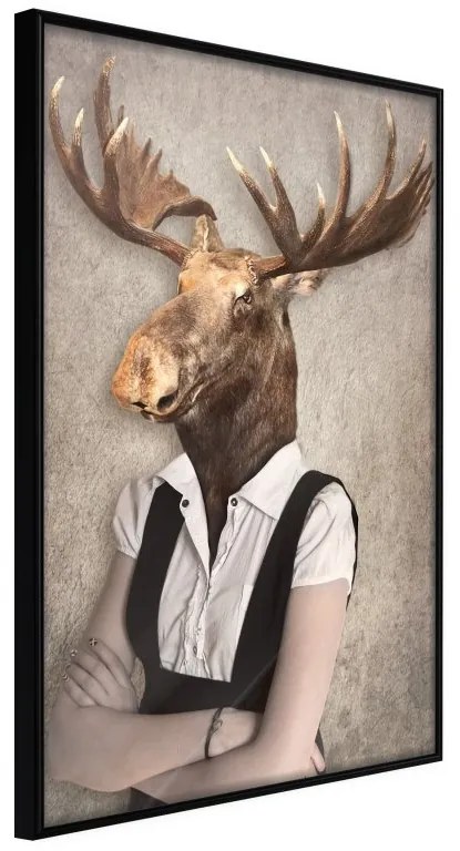 Plagát v ráme Animal Alter Ego: Moose