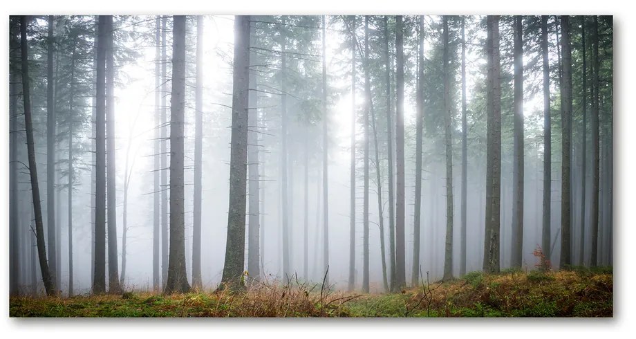 Foto obraz akrylové sklo Hmla v lese pl-oa-140x70-f-74026356