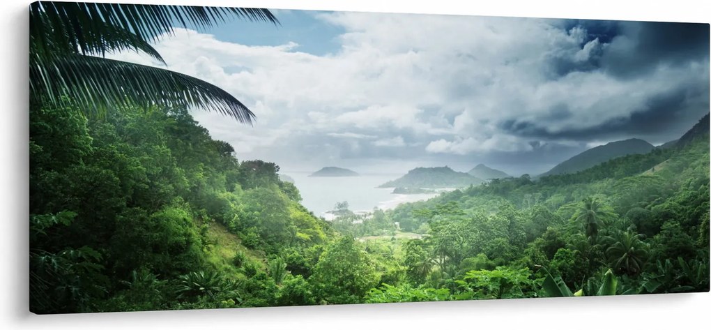 Obraz - Seychelská jungle (120x50 cm)