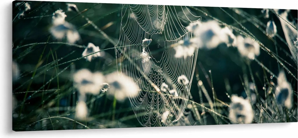 Obraz - Pavučina (120x50 cm)