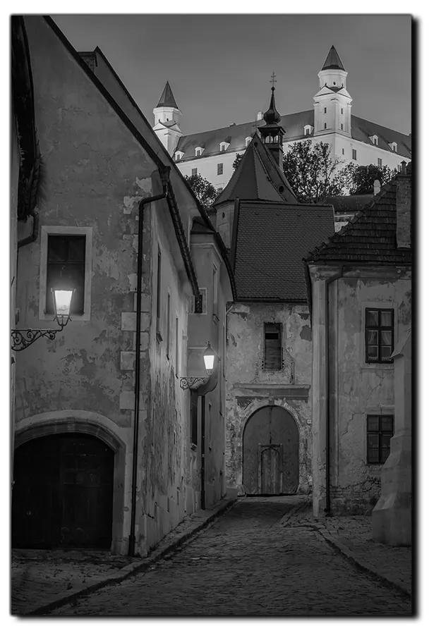 Obraz na plátne - Bratislava staré mesto s hradom vzadu - obdĺžnik 7265QA (75x50 cm)