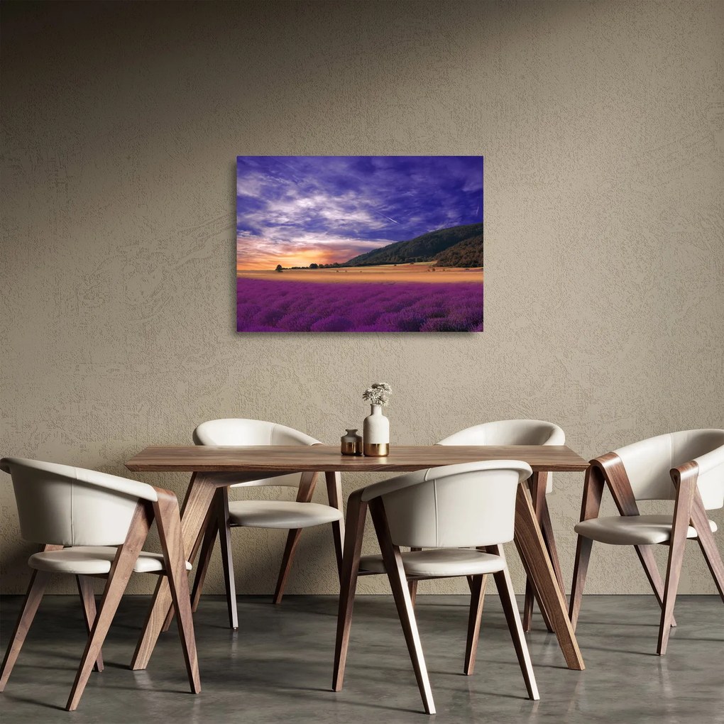 Sklenený obraz levanduľovej lúky (70x50 cm)