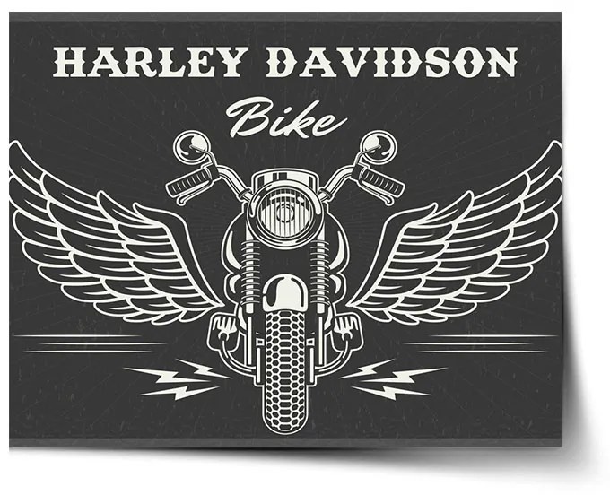 Sablio Plagát Harley-Davidson S krídlami - 60x40 cm
