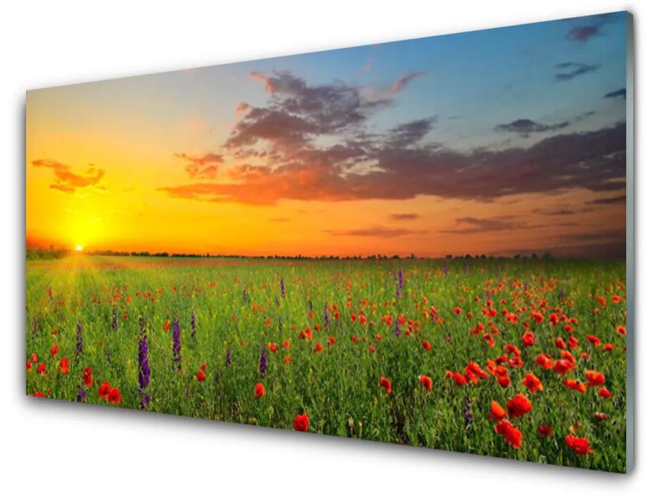 Skleneny obraz Slnko lúka kvety príroda 120x60 cm