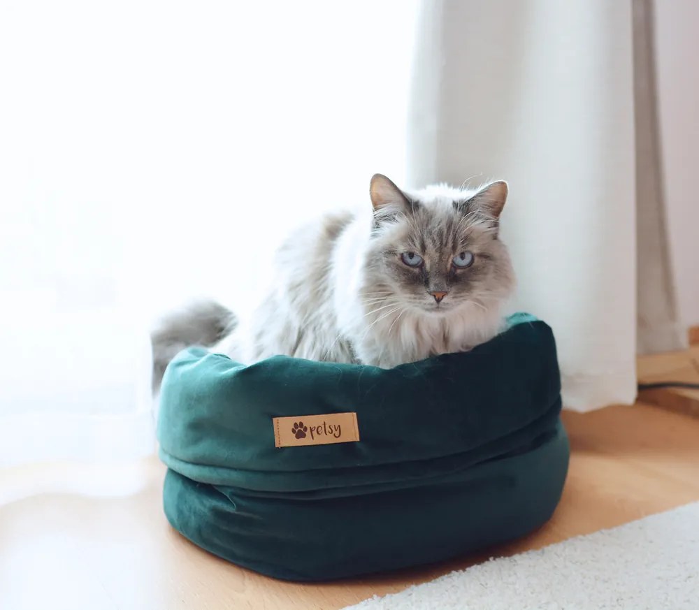 PETSY Pelech "BASKET" ROYAL / MODRÁ