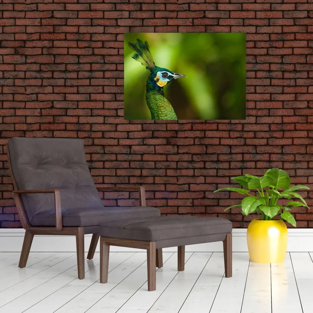Sklenený obraz páva (70x50 cm)