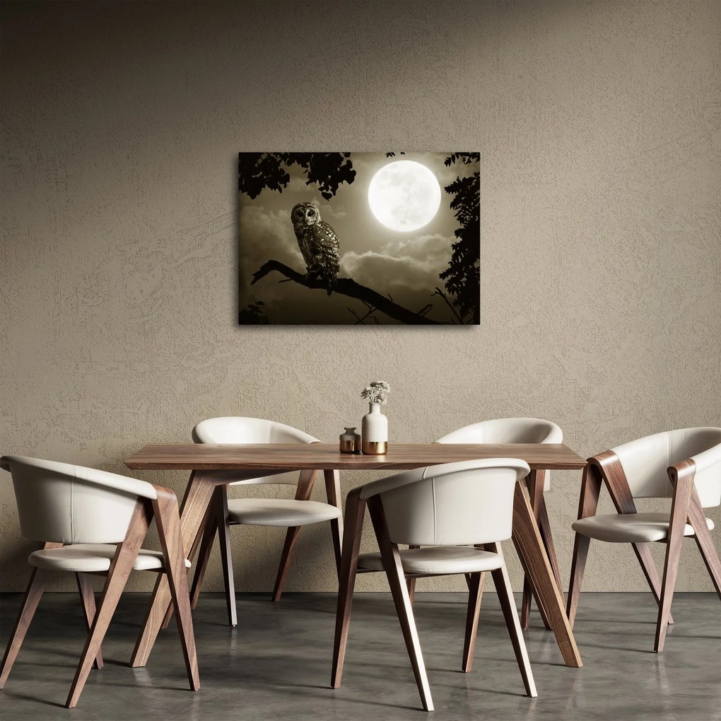 Obraz - Nočná sova, zlatá (70x50 cm)